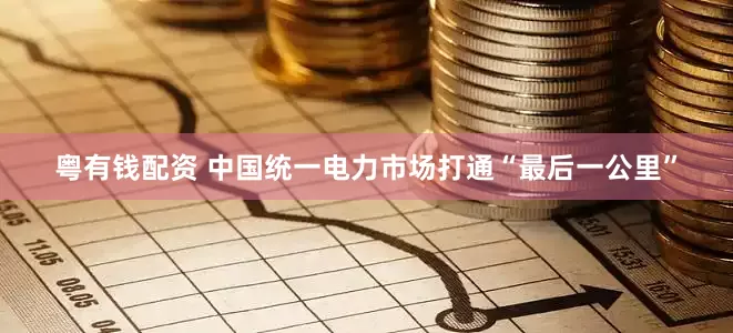 粤有钱配资 中国统一电力市场打通“最后一公里”