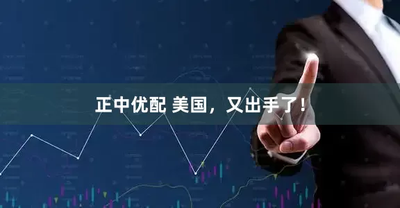 正中优配 美国，又出手了！